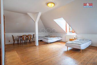 Prodej hotelu, penzionu, 430 m², Přídolí - 10
