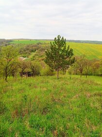 Vinařská búda, chata, pozemek - 10