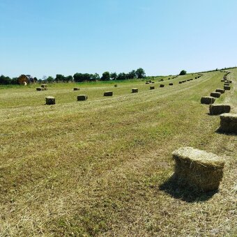 Prodám malé hranaté balíky sena - 10