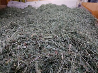 Domácí seno pro mazlíčky - 10