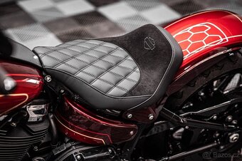 2021 Harley Davidson Softail Custom - 10