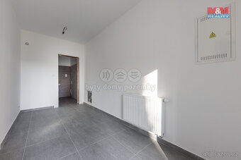 Pronájem obchod a služby, 45 m², Cheb, ul. Břehnická - 10