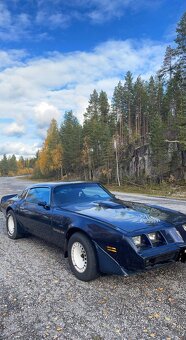 Pontiac Firebird 5.0 V8 1981 - 10