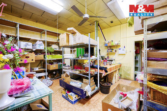 Pronájem květinářství, 133 m², Třemošná, ul. Plzeňská - 10