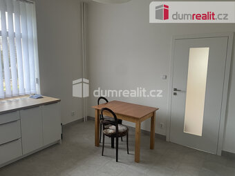 Pronájem luxusní vily po kompletní rekonstrukci Praha Zbrasl - 10
