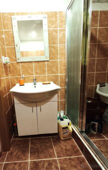 1+kk os. vlast., centrum Ostravy, rekonstrukce, klimatizace. - 10