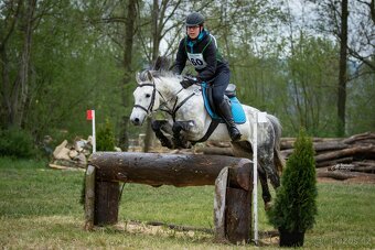 Připouštění hřebcem ČSP 2352 Lucky - 10
