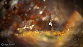 Meopta Meostigmat 50/1 adaptace pro Sony E-mount - 10