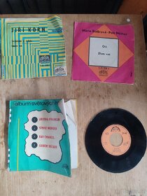 Různé druhy starých gramofonových LP desek AKCE 1+1 ZDARMA - 10
