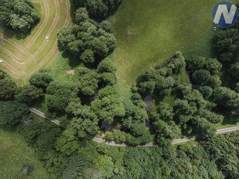 Prodej soustavy rybníků 1939 m2, Kříženec u Mariánských Lázn - 10