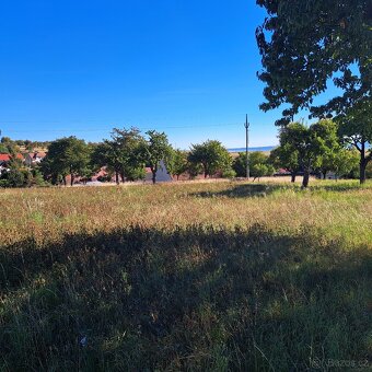 Prodám zemědělskou usedlost s pozemky - 10