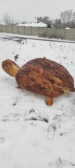 Dřevěný masivní samorost-želva - 10