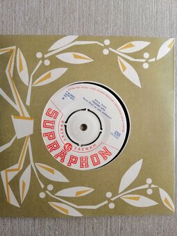 Gramofonové desky - 10