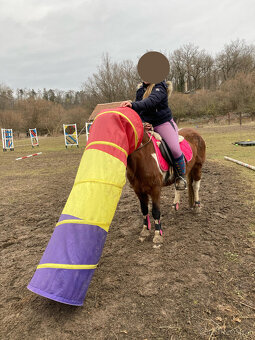 Pony kobylka na rekreační ježdění - 10