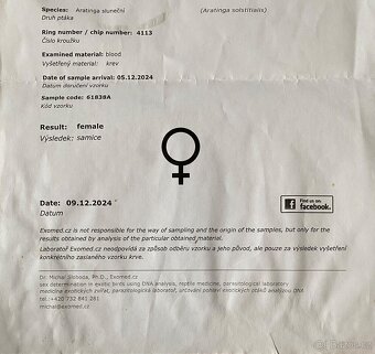Aratinga Sluneční - Ručně Dokrmená samička - mega mazel - 10