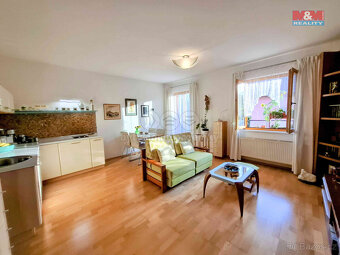 Prodej bytu 1+kk s balkonem, 46 m2, ul. Dolnokrčská, Praha 4 - 10