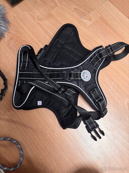 Obojek - vodítko - postroj - 10