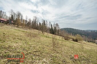 Prodej, pozemky/louka, 3901 m2, Dolní Rokytnice , Rokytnice - 10