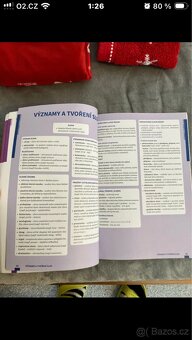 Přijímačky 2025 Český jazyk - 10