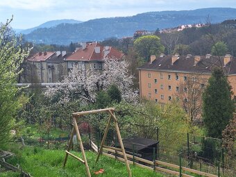 Prodej zahrady v centru města Ústí nad Labem - 10