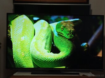 4K Smart TV 55" JVC LT-55VU6905-úhlopříčka 140cm - 10