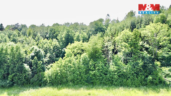 Prodej lesa, 12990 m², Vyšehoří - 10