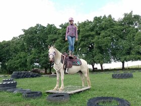 Koňský tábor , tábor s konmi, koně, jezdecký pobyt - 10