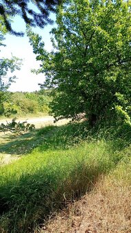 Zahrada u Loun, v obci Brodec, krásné okolí - 10