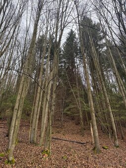 Prodej pozemků k.ú. Huslenky (2) - 10