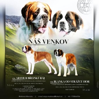 Bernardýn - 10