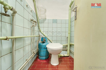 Prodej chalupy, 100 m², Vysoká Libyně, ul. Vysoká Libyně - 10