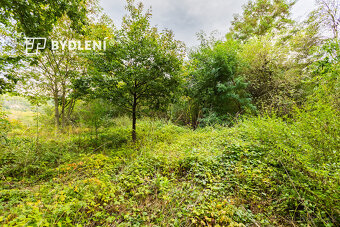Prodej pozemku 1 568 m², Malé Žernoseky - 10