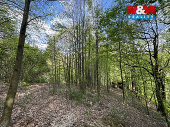 Prodej zahrady, 2545 m², Chrastava, Andělská Hora - 10