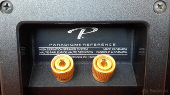Reprosoustavy Paradigm - 10