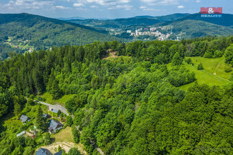 Prodej lesa, 1984 m², Tanvald - 10
