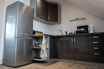 Prodej - Výjimečná nemovitost Březno - Velemín - 10