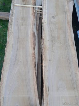 Ořechové fošny - 10