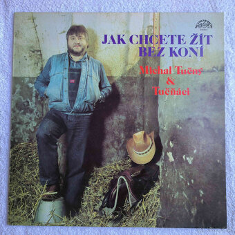 Retro Gramodesky z let 1960-1990, české i zahraniční 175 ks - 10