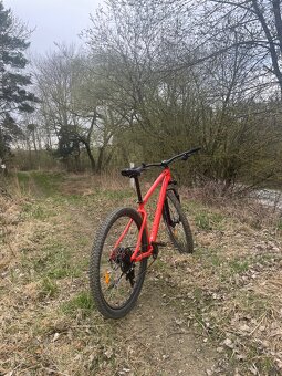 Rockrider - 10