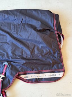 Vybehova deka Lemieux 200g 145cm - 10