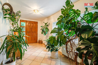 Prodej rodinného domu, 105 m² + pozemek 11.000 m2, Damice - 10
