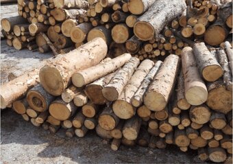 Palivové dřevo měkké - 10