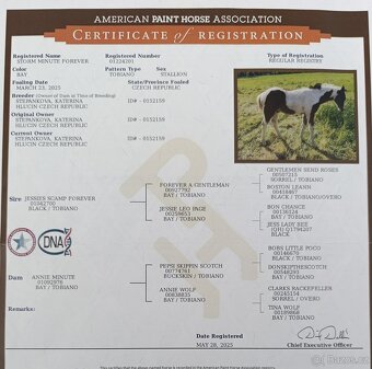 APH hřebeček s Andělem na hlavě - 10