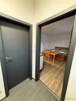 Byt k pronájmu - Roudná - 10