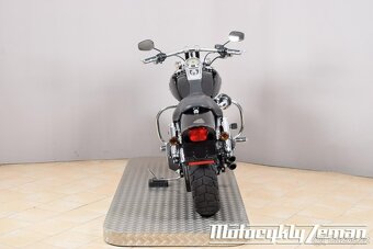 Harley-Davidson FXDF Dyna Fat Bob 2009 - 10