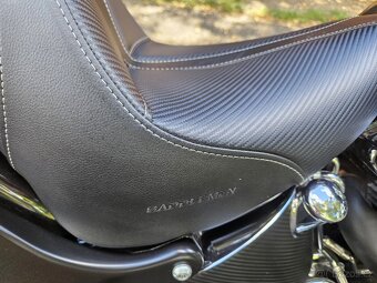 HARLEY DAVIDSON FAT BOY FLSTF 96cu 2007 EU - 10