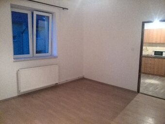 Pronajmu byt 1+1 50m2 v Ostravě se zahradou - 10