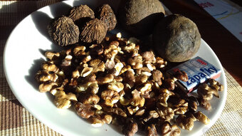 Ořech černý sazenice."Orech čierny - Kotora" - 10