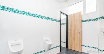 Nebytový objekt, Hradec Králové,prodej - 10