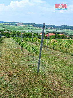 Prodej zahrady v Čebíně - 10